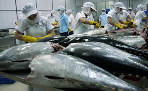 Cá ngừ xuất khẩu chuyển hướng sang thị trường mới nổi