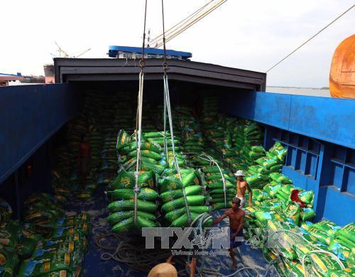 Thị trường gạo thế giới năm 2016 và dự báo năm 2017