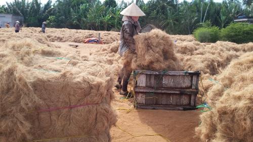 Doanh nghiệp Đài Loan tìm kiếm nhà cung cấp xơ dừa Việt Nam